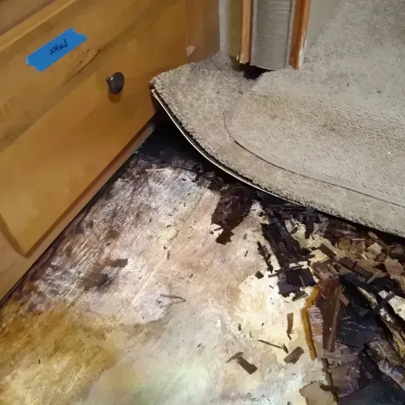 Wood Floor Water Damage in Melrose Park, IL